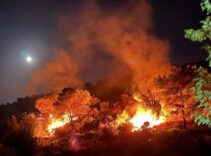 SON DAKİKA: Orman yangınlarında son durum! Bakan Yumaklı tek tek duyurdu