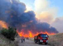 Tekirdağ'da yangın! Alevlerin yaklaştığı mahalle boşaltılıyor