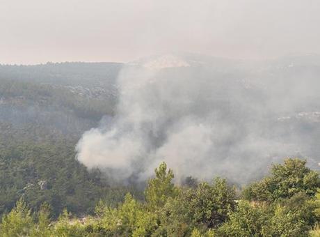 Yurdun dört bir yanında alevlerle mücadele! Mahalleler boşaltıldı