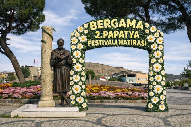 WhatsApp Image 2026-04-05 at 19.47.13