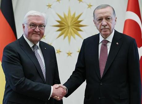 Cumhurbaşkanı Erdoğan, Almanya Cumhurbaşkanı Steinmeier ile telefonda görüştü