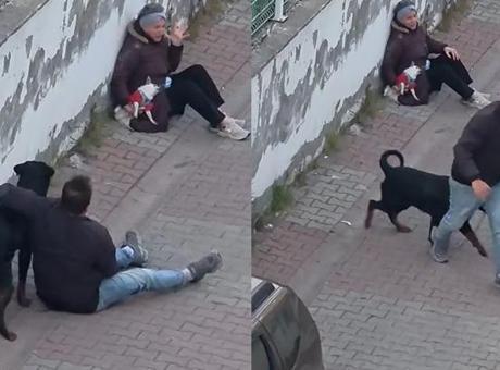 Ümraniye’de ağızlıksız gezdirilen rottweiler, küçük ırk köpeğe saldırdı!