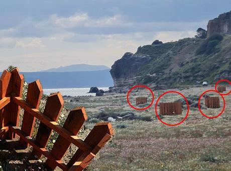 Sahile yerleştirilen gizemli kafesler herkesi şaşırttı! 'Büyük bir sürprizle karşılaştım'