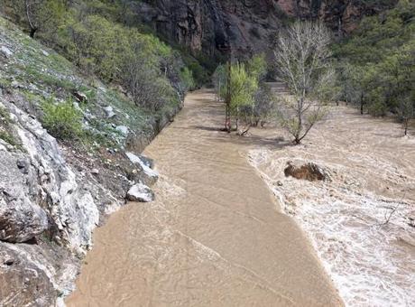 Tunceli’de Munzur Nehri taştı! Kara yolu sulara gömüldü, ulaşım durdu
