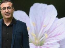 Türkiye'de sadece iki küçük noktada yetişiyor! Şaşırtan keşif: 'Kritik tehlike altında'