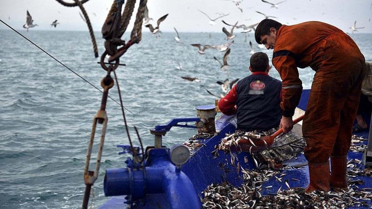 İstanbul'da balıkçılar yeni sezondan umutlu: Yasak 1 Eylül'de kalkacak