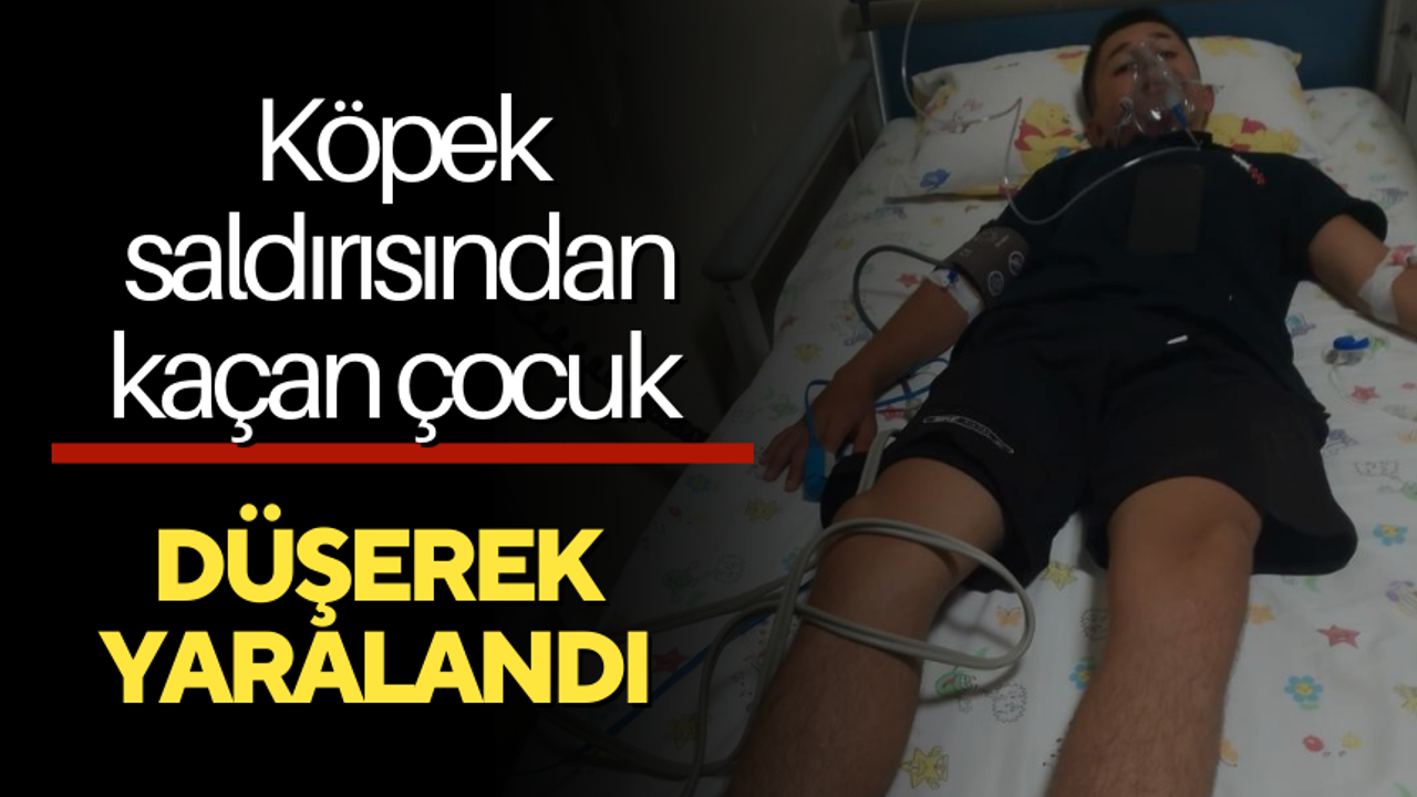 Köpek saldırısından kaçan çocuk düşerek yaralandı