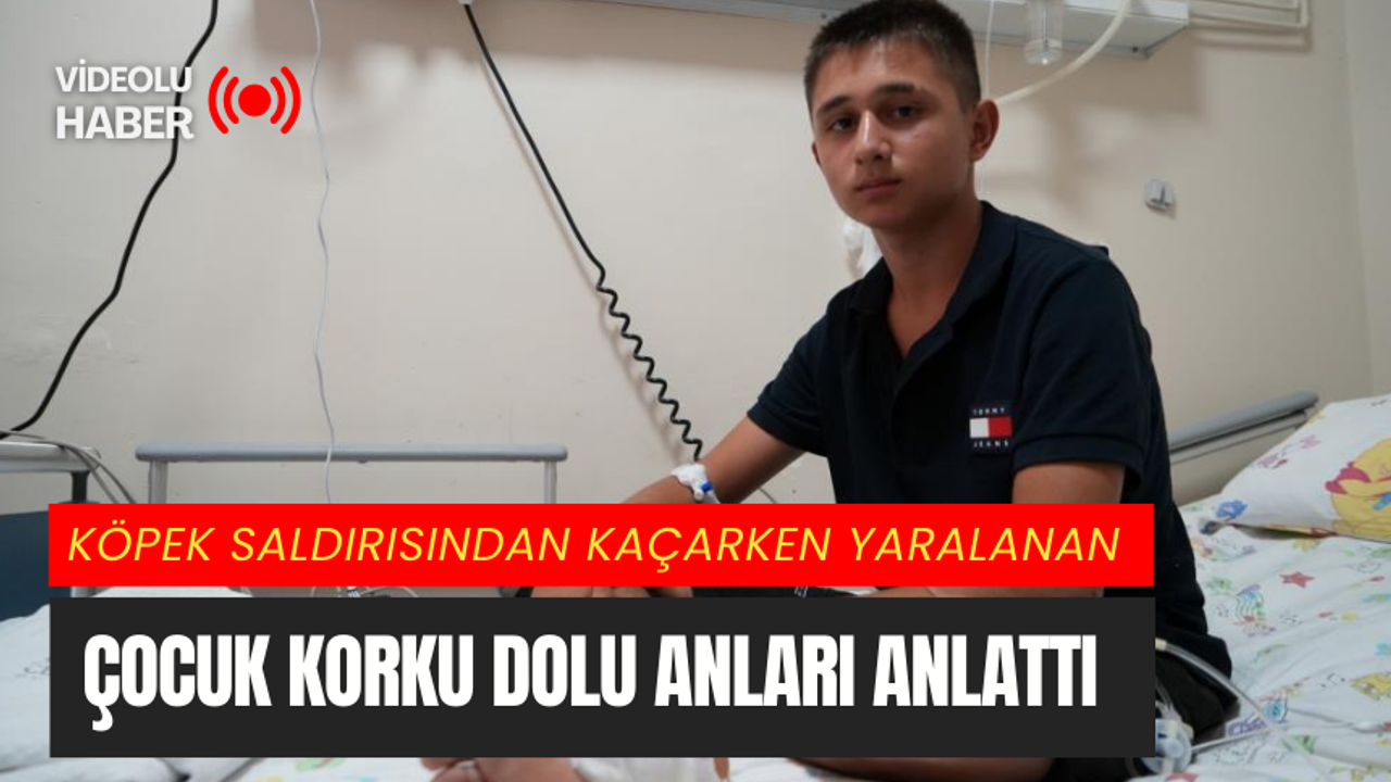 Köpek saldırısından kaçarken yaralanan çocuk korku dolu anları anlattı