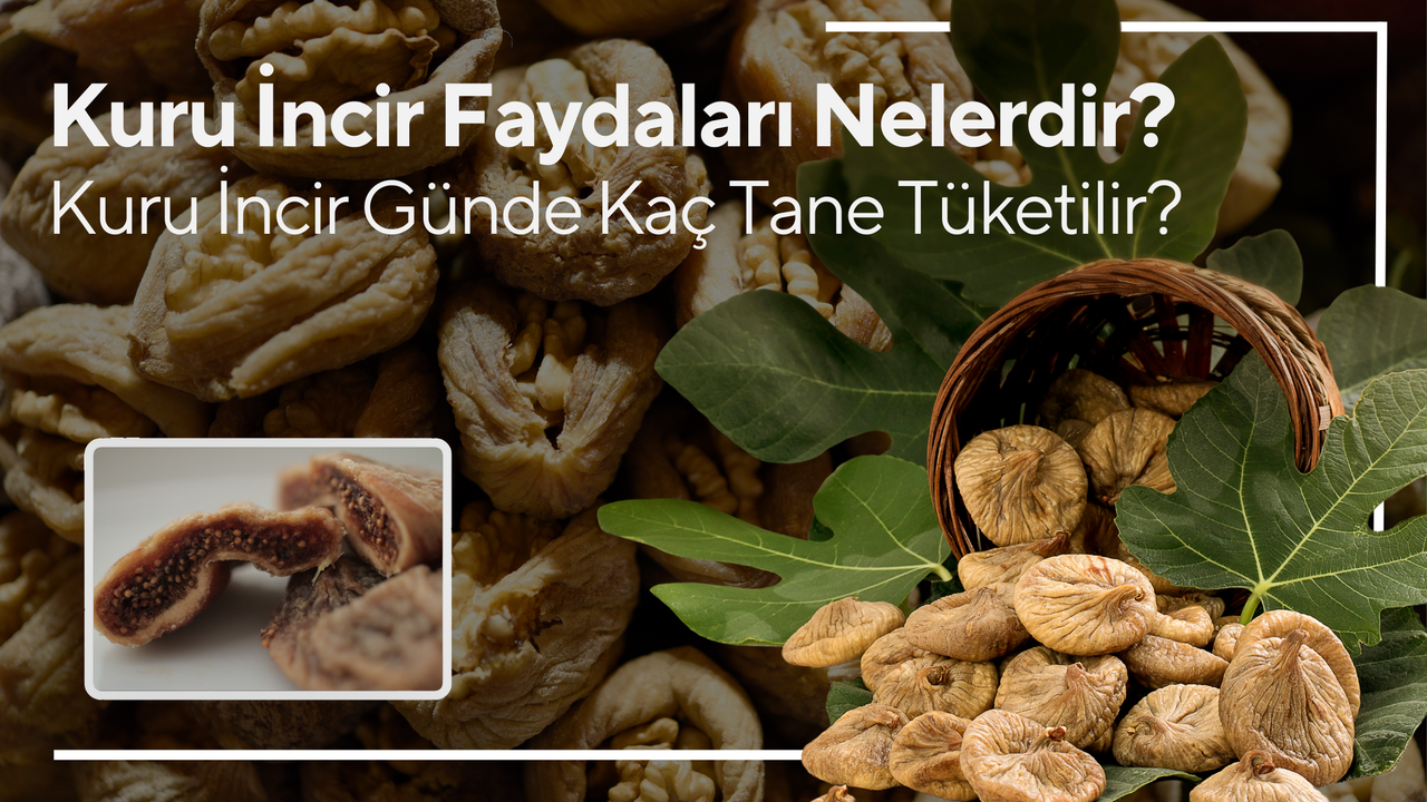 Kuru İncir Faydaları Nelerdir? Kuru İncir Neye İyi Gelir, Günde Kaç Tane Tüketilir?