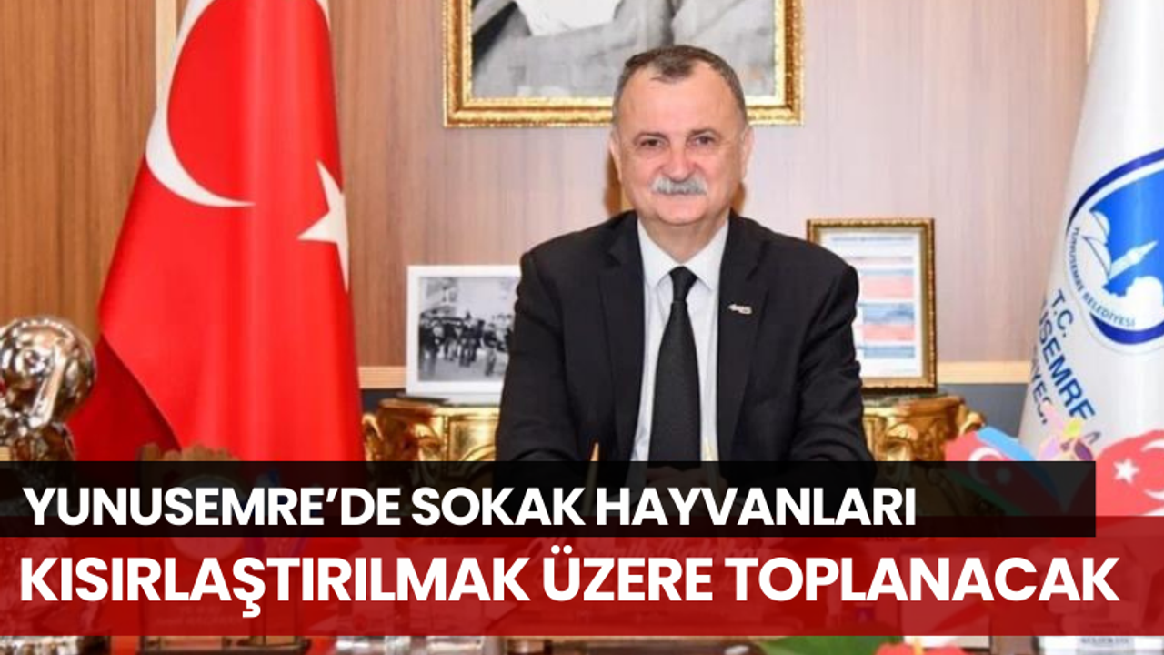 Yunusemre’de sokak hayvanları kısırlaştırılmak üzere toplanacak