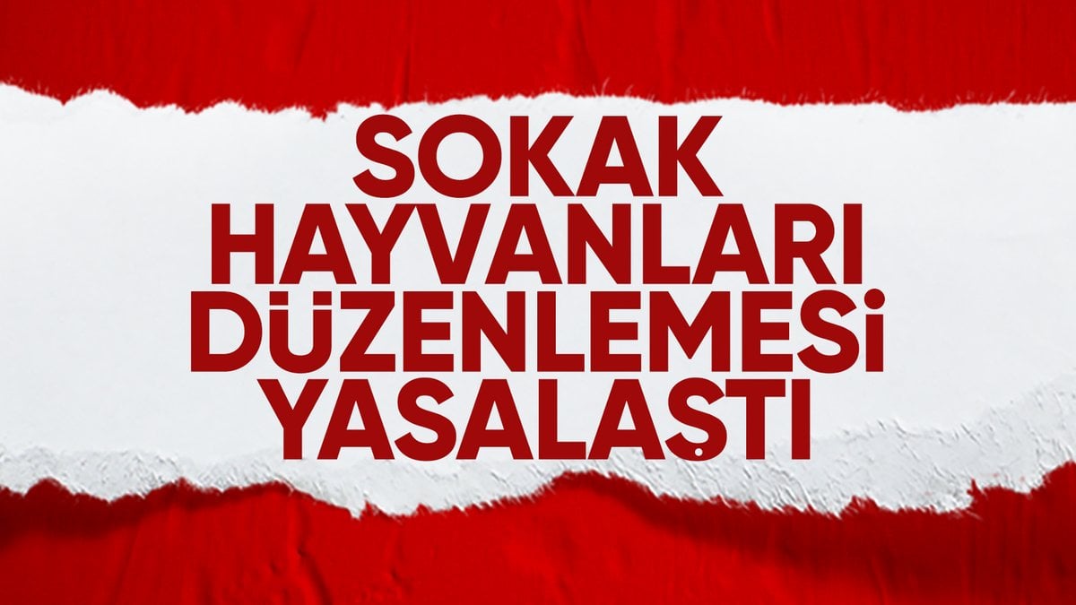 Başıboş sokak köpekleri düzenlemesi Meclis'te kabul edildi