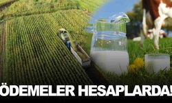 3 Harflilere Rakip Oldu! Tarım Kredi Market İndirim Listesi Belli Oldu (Eylül-Ekim)