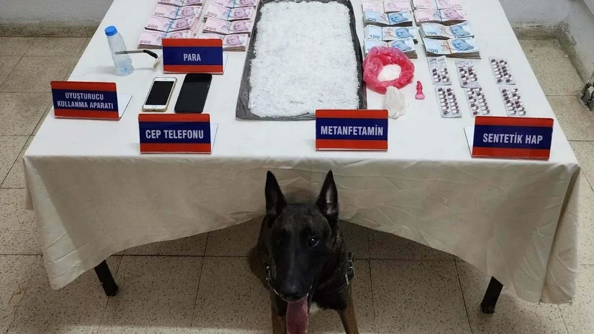 Aydın'da uyuşturucu satıcılarına operasyon: 33 gözaltı!