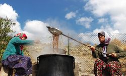 Edirne’de unutulan badem yeniden canlanıyor
