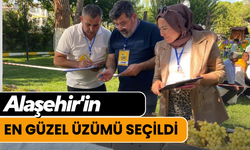 Feci kazada yaralanan 11 kişi taburcu oldu