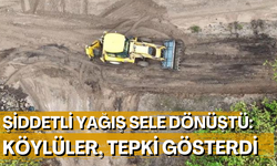 Freni boşalan tır denize düştü
