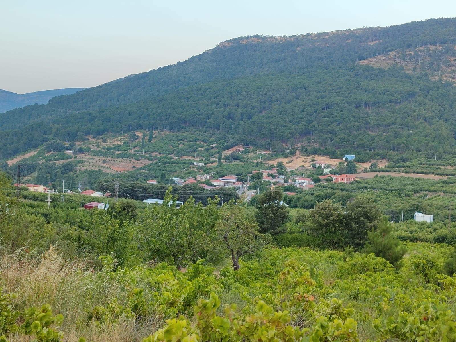 kamberler-koyu-3