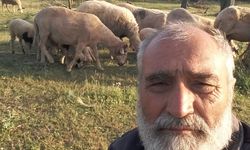 Kış aylarının vazgeçilmezi: şifa dolu kış çayı tarifi