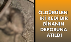 Maganda kurşunu küçük kızı hayattan kopardı