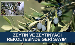 Manisa FK’dan olay gönderme ! ‘Yedek kepçeler bekletmeleri ise büyük incelik’