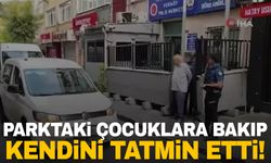 Manisa’da kedi ölümleri: Katil var!