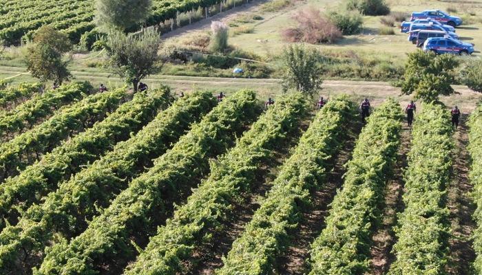 Manisa'da üzüm bağında silahla vurulan çiftçi öldü