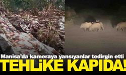 Manisa’da yürekleri ağza getiren kaza… Hurdaya dönen araçtan sağ çıktı