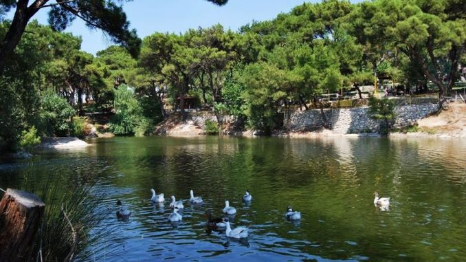 Manisa’nın doğal güzelliklerinden… Sonbaharda ziyaretçilerini bekliyor