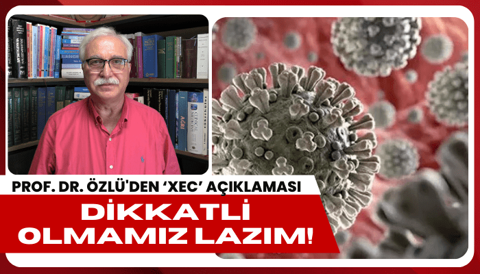 Prof. Dr