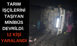 Samanlık yangını çevredeki evlere sıçramadan söndürüldü.