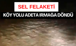 Seyir halindeki servis aracı yandı