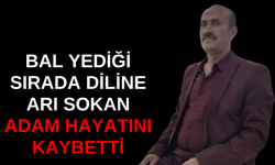 Sürüye kurt saldırdı: 2 küçükbaş hayvan telef oldu