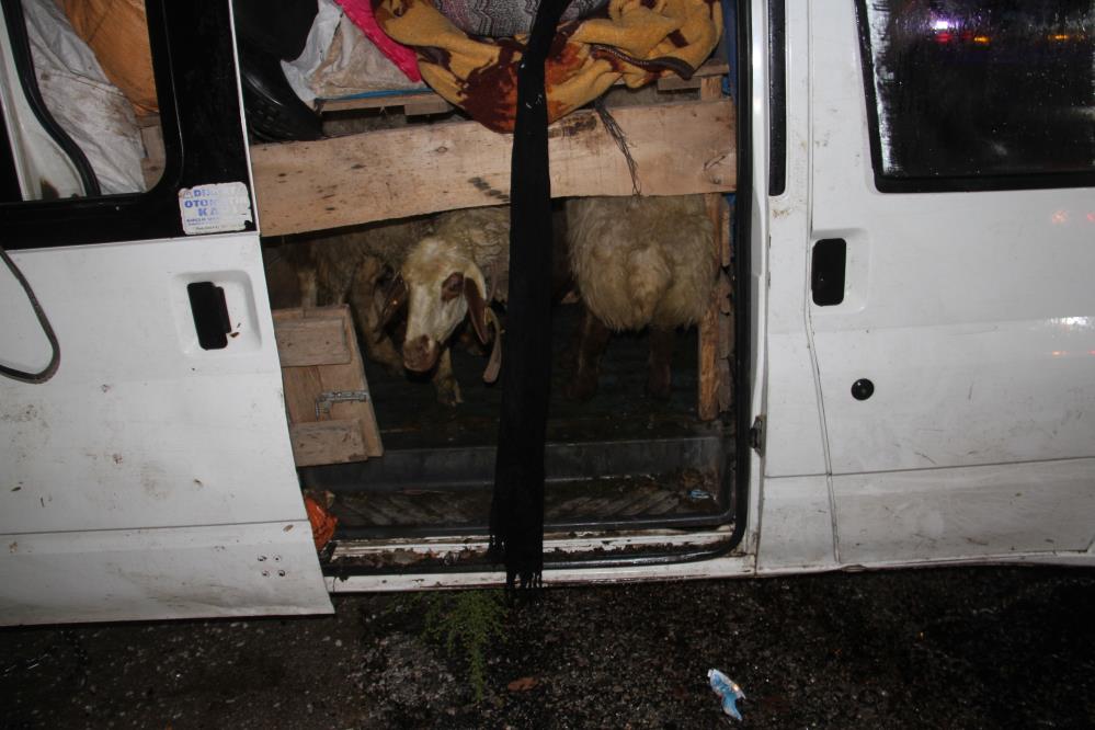 Tarım işçilerini taşıyan minibüs devrildi: 12 yaralı