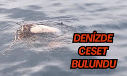Uçurumdan araç uçtu, 1 yaralı