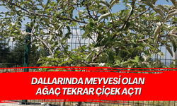 Ünlü sanatçı Metin Arolat son yolculuğuna uğurlandı