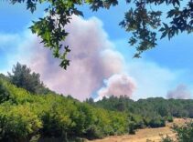 3 kentte yangın! Havadan ve karadan müdahale ediliyor