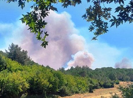 3 kentte yangın! Havadan ve karadan müdahale ediliyor