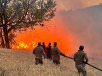 61 orman yangınıyla ilgili 23 şüpheli gözaltına alındı