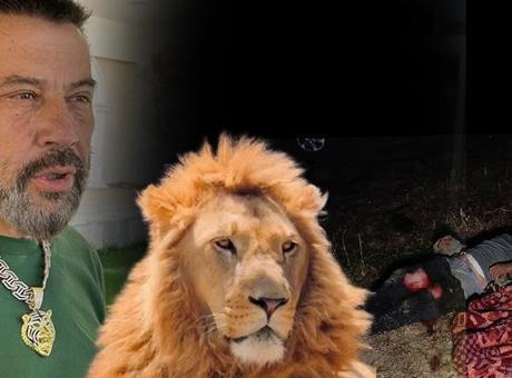 Antalya'da çiftçiyi yaralayan aslanın sahibi konuştu: Saldırdığı kişide iyi ki battaniye varmış