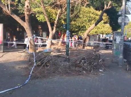 Beşiktaş'ta şiddetli rüzgar sonucu ağaç devrildi! Kaldırımda yürüyen 3 kişi yaralandı