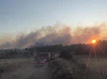 Bir yangın haberi de Tekirdağ'dan geldi! Yerleşim yerlerine sıçrama ihtimali var