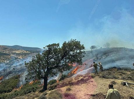 Çanakkale’de korkutan yangın! Havadan ve karadan müdahale başladı