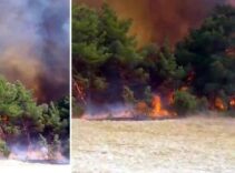 Çanakkale'de orman yangını! Çok sayıda ekip sevk edildi