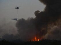 İzmir'de orman yangını! İşte bölgeden görüntüler