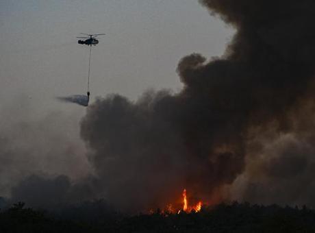 İzmir'de orman yangını! İşte bölgeden görüntüler