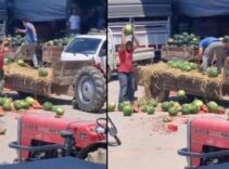 Karpuzları yere atıp parçalayan çiftçilere rekor ceza