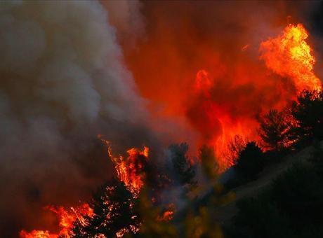 OGM'den yangınlarla mücadele yetersiz kalındığı iddialarına yanıt