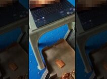 Sakarya'da skandal olay! İki öğrencinin uygunsuz paylaşımına işlem başlatıldı