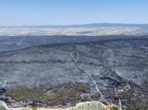 Şarköy küle döndü, görüntüler yürek sızlattı! İşte dehşetin boyutu