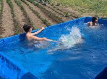 Sıcaklar bunalttı, traktörünü torunları için havuza çevirdi